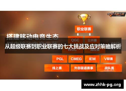 从超级联赛到职业联赛的七大挑战及应对策略解析