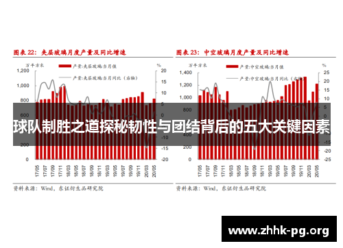球队制胜之道探秘韧性与团结背后的五大关键因素