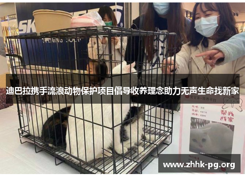 迪巴拉携手流浪动物保护项目倡导收养理念助力无声生命找新家