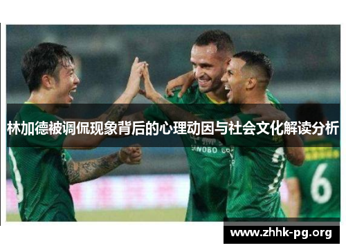 林加德被调侃现象背后的心理动因与社会文化解读分析